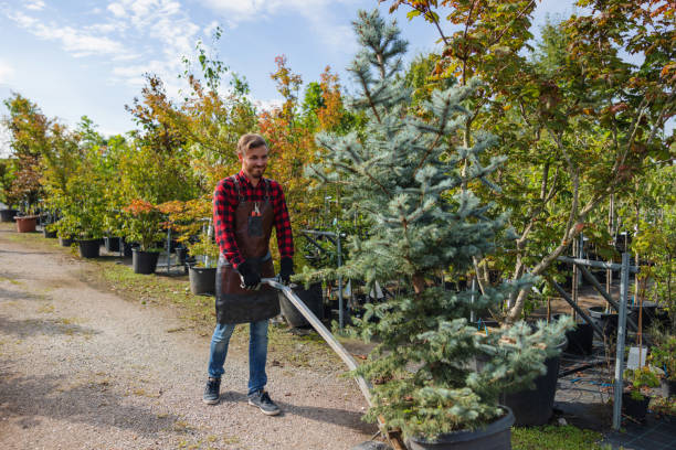 Best Tree Preservation Services  in Zapata, TX